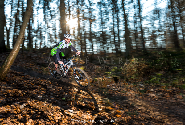 Mountainbiker vom DAV Würzburg fährt in der Sonne im Gegenlicht durch den Wald