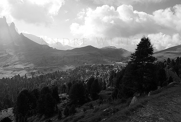 Dolomiten bei diesem Wetter und Sonne mit Bäumen im Vordergrund, Sella Ronda