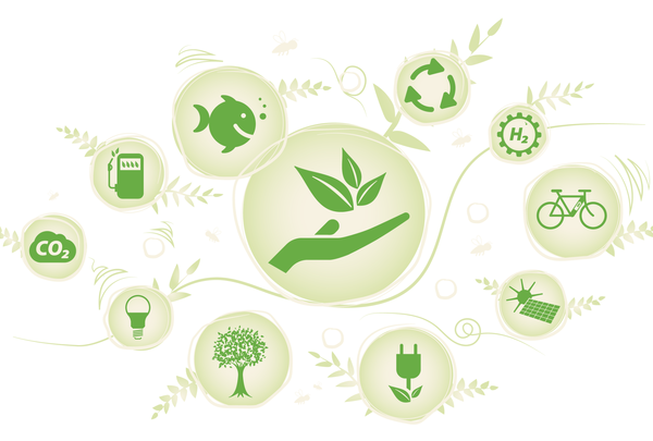 Icons für Nachhaltigkeitskampagne in grün für die Firma Pabst Transport GmbH und Co. KG