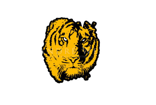 Illustration, Tiger, gelb Schwarzvektor Grafik