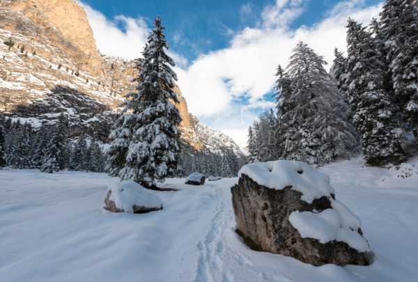 Dolomiten im Winter, Fels im Vordergrund schattiges Tal mit Tannen Bonn